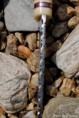 /album/fotogalerie-bran-i-/dsc-0016-2-685x1024-jpg/